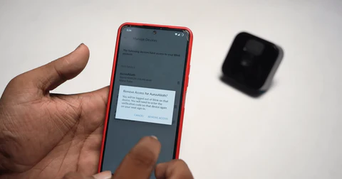 Can You Share Blink Without Giving a Password?