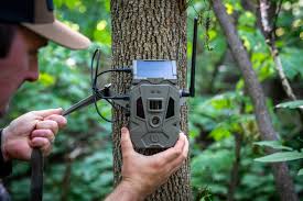 What Does “Cellular Service” Mean for Trail Cameras?