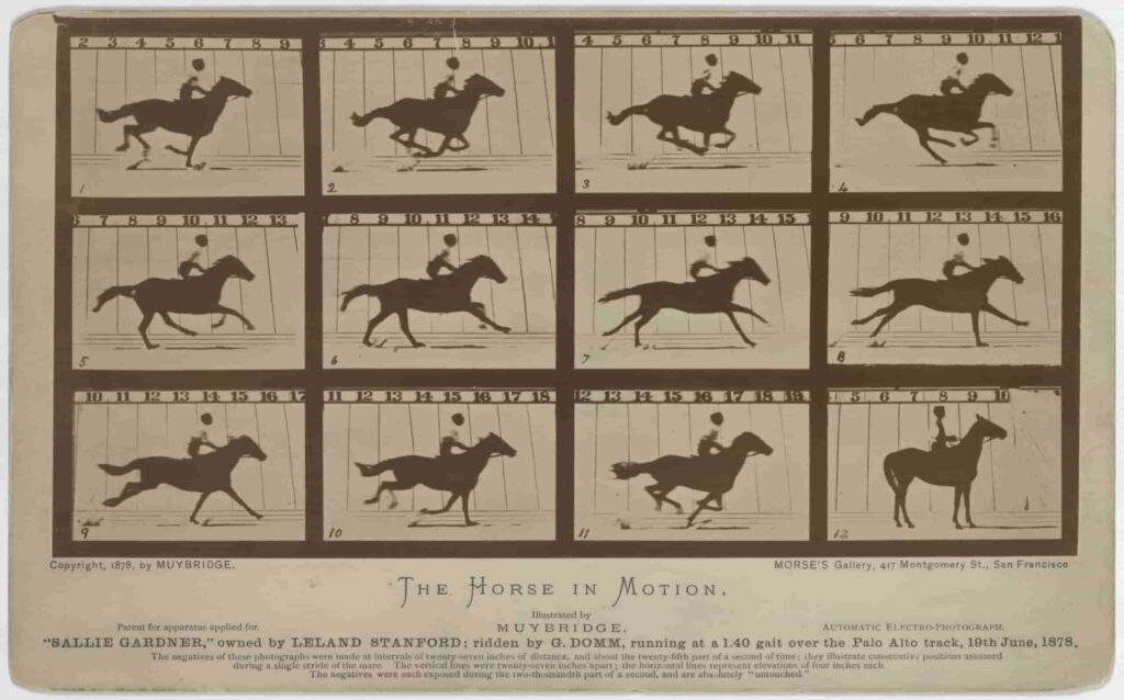 The Dream of Moving Pictures: Early Experiments (1800s)