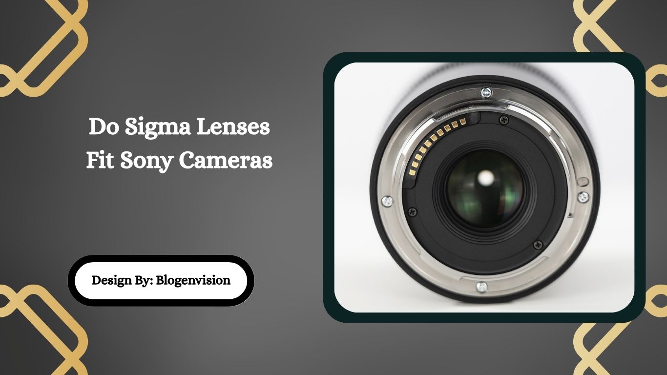 Do Sigma Lenses Fit Sony Cameras