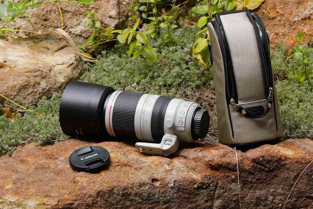 Can You Multiply the Effect of a Telephoto Lens?