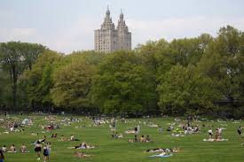 Do Cameras Actually Reduce Crime in Central Park?