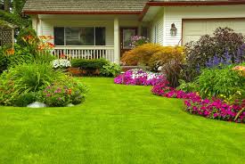 Green and Serene: Custom Landscaping Tips to Beautify Your Yard Year-Round