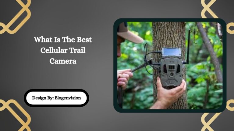 What Is The Best Cellular Trail Camera