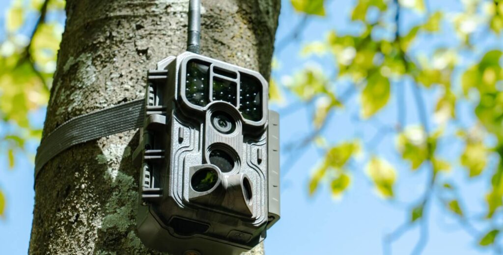 Do Trail Cameras Need WiFi to Work?