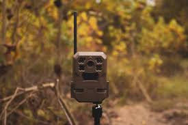 What Is a Cellular Trail Camera?