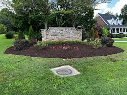 Transform Your Outdoors with Sea Breeze Lawn Care in South Carolina